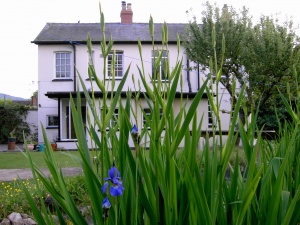 Windyridge Walkers Haven