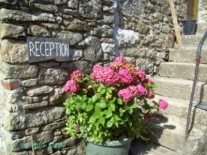 Harford Bunkhouse & Camping